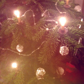 Monatsrückblick Dezember