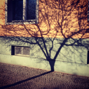 Monatsrückblick März