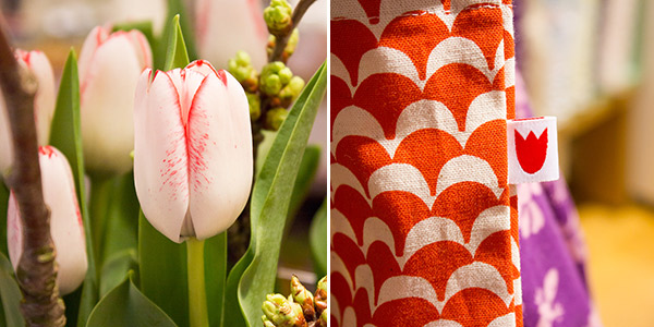 Frau Tulpe