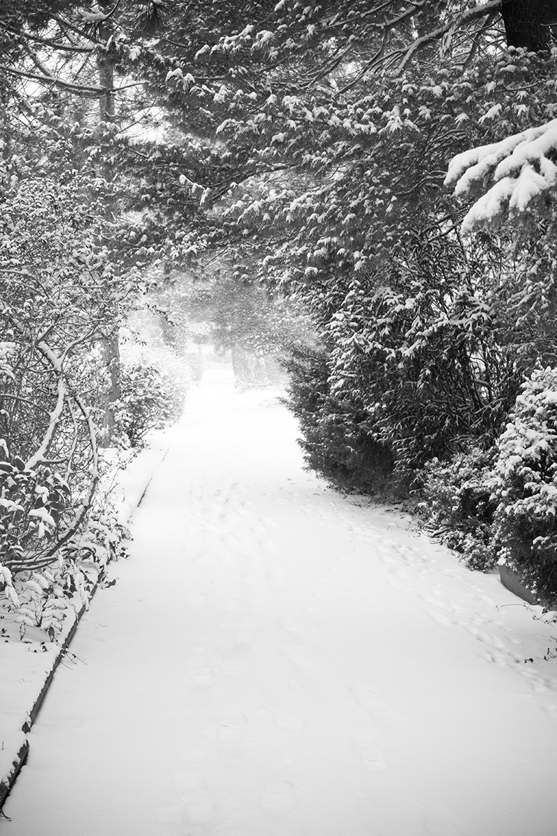 Winter in Berlin